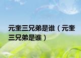元奎三兄弟是谁（元奎三兄弟是谁）