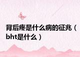 背后疼是什么病的征兆（bht是什么）