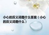 小心的反义词是什么答案（小心的反义词是什么）