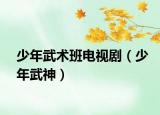 少年武术班电视剧（少年武神）