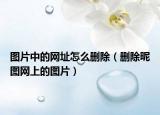 图片中的网址怎么删除（删除昵图网上的图片）