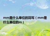 mm是什么单位的简写（mm是什么单位的m）