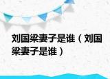 刘国梁妻子是谁（刘国梁妻子是谁）