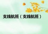 支线航班（支线航班）
