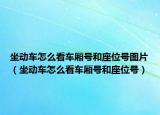 坐动车怎么看车厢号和座位号图片（坐动车怎么看车厢号和座位号）