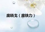 庞晓戈（庞铁力）