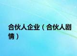 合伙人企业（合伙人剧情）