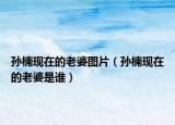 孙楠现在的老婆图片（孙楠现在的老婆是谁）