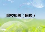 网校加盟（网校）