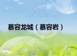 慕容龙城（慕容岩）