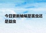 今日更新蚰蜒是害虫还是益虫