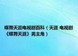 蝶舞天涯电视剧百科（天涯 电视剧《蝶舞天涯》男主角）