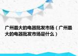 广州最大的电器批发市场（广州最大的电器批发市场是什么）