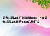 勇者斗恶龙5打完隐藏boss（nes勇者斗恶龙5最后boss几级打过）