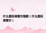 什么是标准普尔指数（什么是标准普尔）