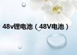 48v锂电池（48V电池）