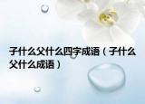 子什么父什么四字成语（子什么父什么成语）