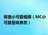 萌宠小可爱视频（MC小可爱是啥意思）