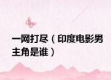一网打尽（印度电影男主角是谁）