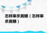 怎样宰杀黄鳝（怎样宰杀黄鳝）