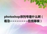 photoshop序列号是什么啊（着急~~~~~~~~在线等候）