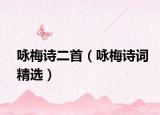 咏梅诗二首（咏梅诗词精选）