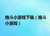 格斗小游戏下载（格斗小游戏）