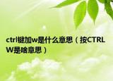 ctrl键加w是什么意思（按CTRL W是啥意思）