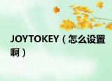 JOYTOKEY（怎么设置啊）