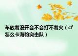 车放着没开会不会打不着火（cf怎么卡海豹突击队）