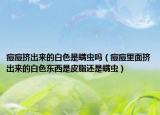 痘痘挤出来的白色是螨虫吗（痘痘里面挤出来的白色东西是皮脂还是螨虫）