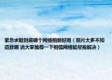 紧急求助到底哪个网络相册好用（照片太多不知道放哪 请大家推荐一下相信网络能帮我解决）