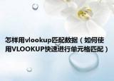 怎样用vlookup匹配数据（如何使用VLOOKUP快速进行单元格匹配）