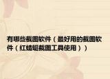 有哪些截图软件（最好用的截图软件（红蜻蜓截图工具使用））