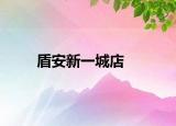 盾安新一城店