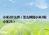 小米2什么样（怎么辨别小米2和小米2S）