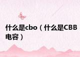 什么是cbo（什么是CBB电容）