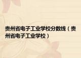 贵州省电子工业学校分数线（贵州省电子工业学校）