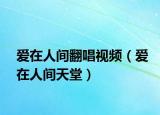 爱在人间翻唱视频（爱在人间天堂）