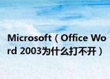 Microsoft（Office Word 2003为什么打不开）
