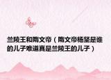 兰陵王和隋文帝（隋文帝杨坚是谁的儿子难道真是兰陵王的儿子）