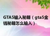 GTA5输入秘籍（gta5金钱秘籍怎么输入）