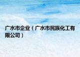 广水市企业（广水市民族化工有限公司）
