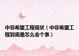 中非希望工程现状（中非希望工程到底是怎么会个事）