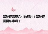 驾驶证需要几寸的照片（驾驶证需要年审吗）