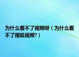 为什么看不了视频呀（为什么看不了搜狐视频?）