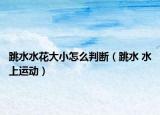 跳水水花大小怎么判断（跳水 水上运动）