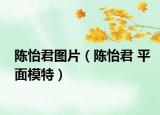陈怡君图片（陈怡君 平面模特）