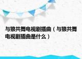与狼共舞电视剧插曲（与狼共舞电视剧插曲是什么）