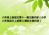 六年级上册语文第十一课主要内容（小学六年级语文上册第11课的主要内容）